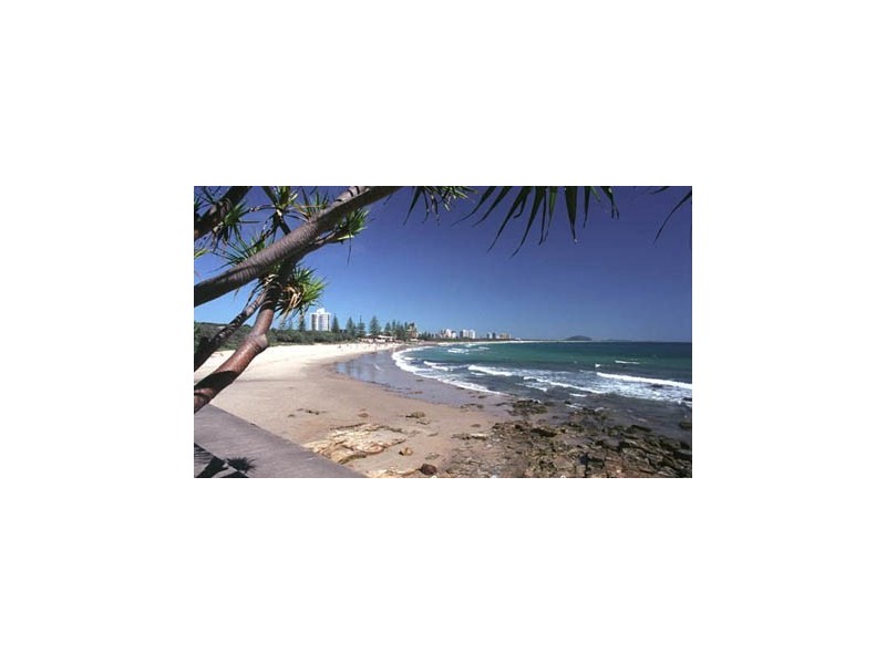 Alexandra Headland QLD 4572