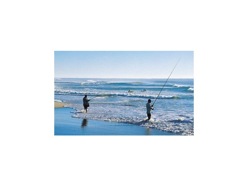 Alexandra Headland QLD 4572