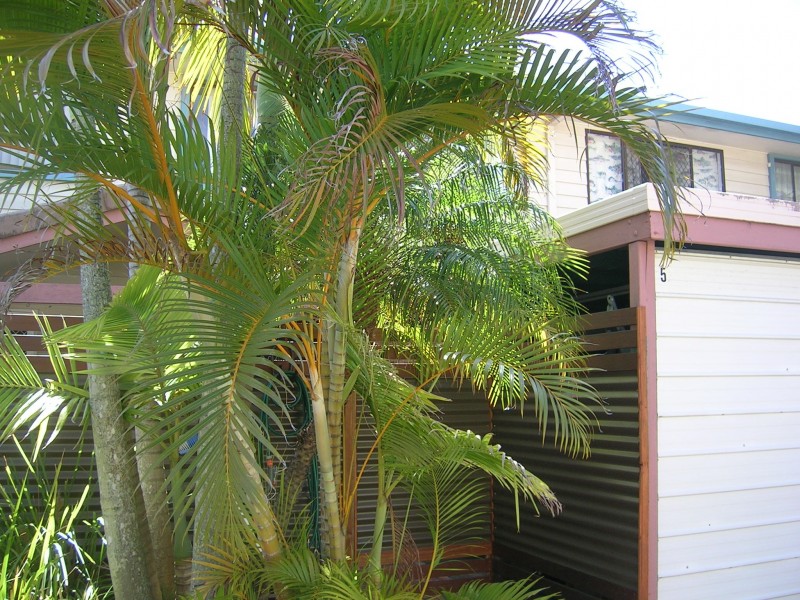 5/160 Tepequar Drive, Maroochydore QLD 4558