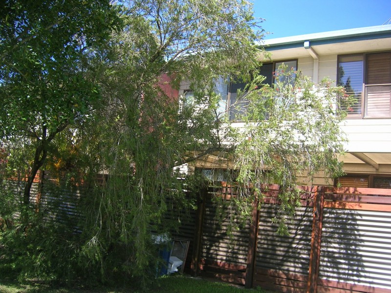 5/160 Tepequar Drive, Maroochydore QLD 4558