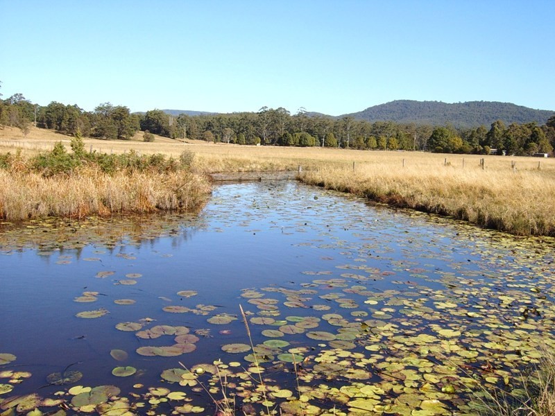 623 Sherwood Creek Road, Coffs Harbour NSW 2450