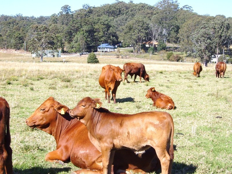 623 Sherwood Creek Road, Coffs Harbour NSW 2450