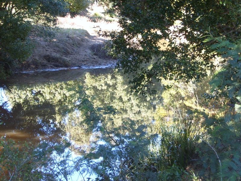 623 Sherwood Creek Road, Coffs Harbour NSW 2450