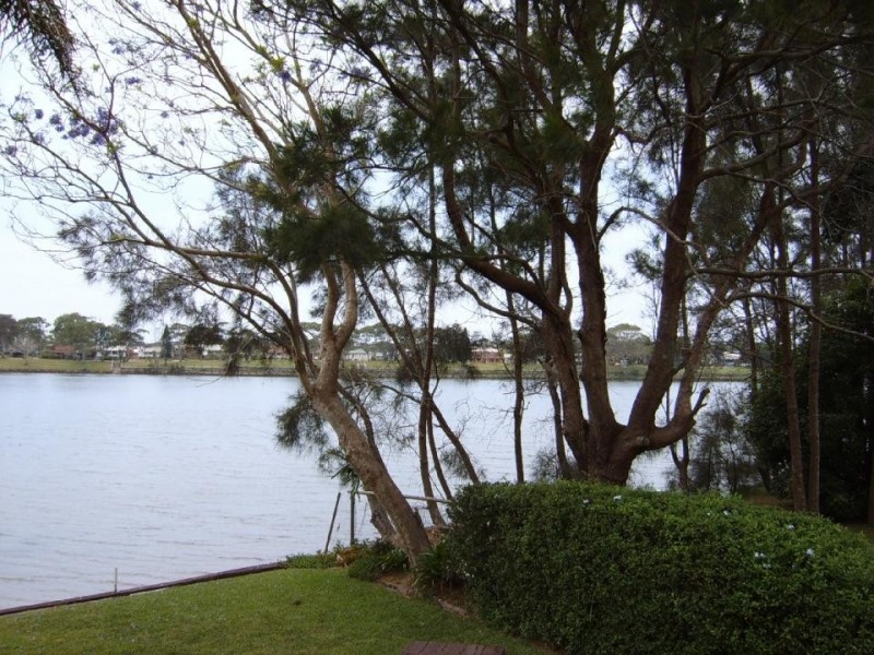 484 Yellow Rock Road, Urunga NSW 2455