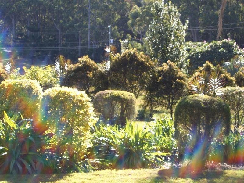Coffs Harbour NSW 2450