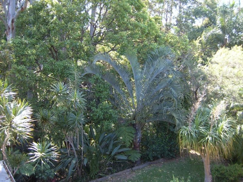 Coffs Harbour NSW 2450