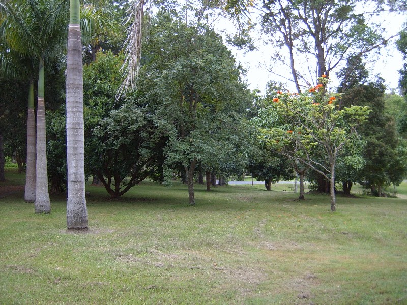25 McRae Close Boambee, Coffs Harbour NSW 2450
