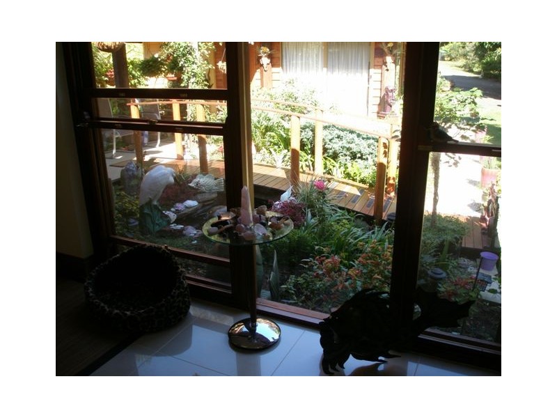 12 Rowsells Road Korora, Coffs Harbour NSW 2450