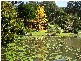12 Rowsells Road Korora, Coffs Harbour NSW 2450