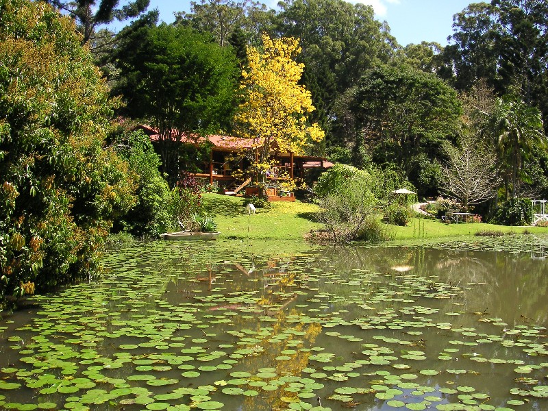12 Rowsells Road Korora, Coffs Harbour NSW 2450