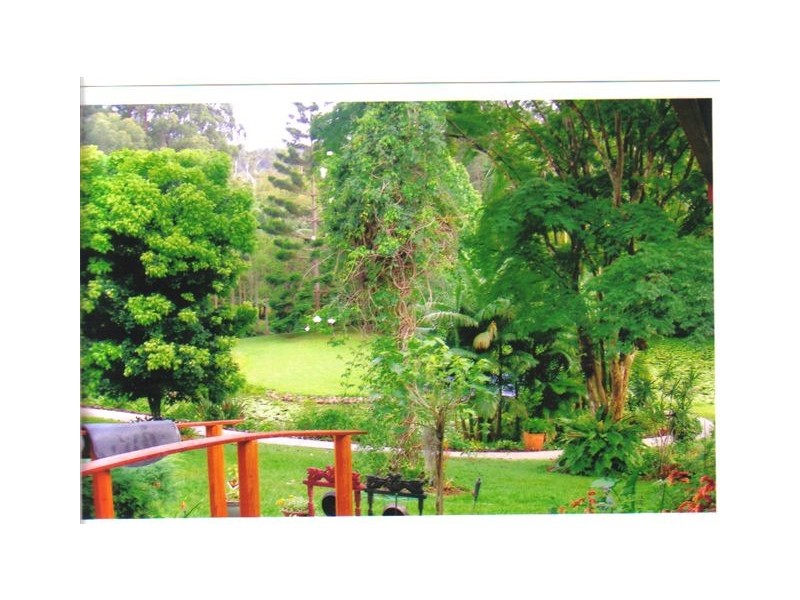 12 Rowsells Road Korora, Coffs Harbour NSW 2450