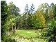 12 Rowsells Road Korora, Coffs Harbour NSW 2450