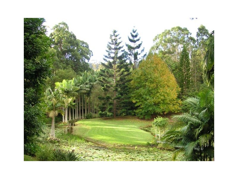 12 Rowsells Road Korora, Coffs Harbour NSW 2450