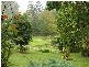 12 Rowsells Road Korora, Coffs Harbour NSW 2450
