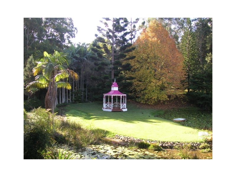 12 Rowsells Road Korora, Coffs Harbour NSW 2450
