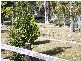 Coffs Harbour NSW 2450