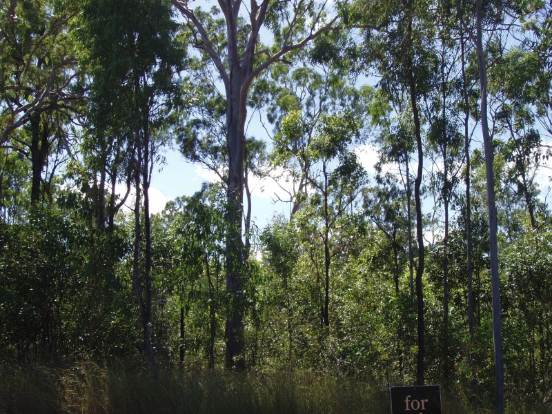 Captain Creek QLD 4677