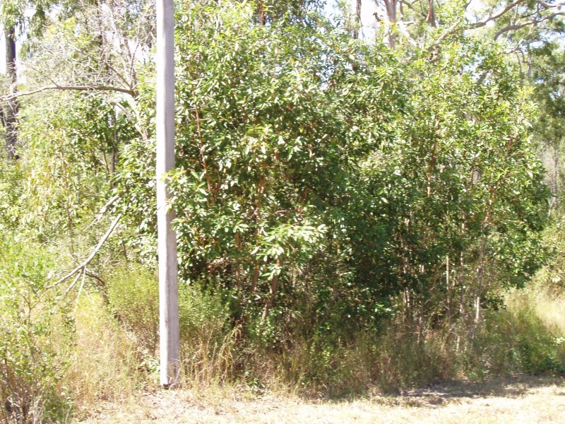 Captain Creek QLD 4677