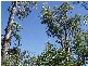 Captain Creek QLD 4677