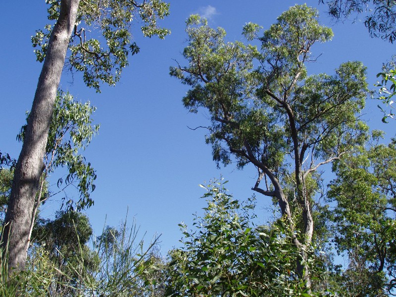Captain Creek QLD 4677