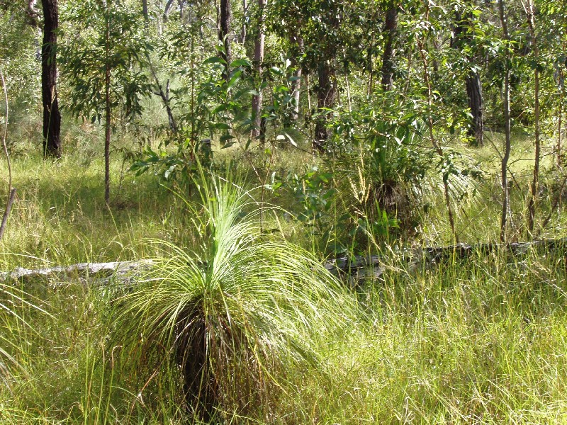 Captain Creek QLD 4677