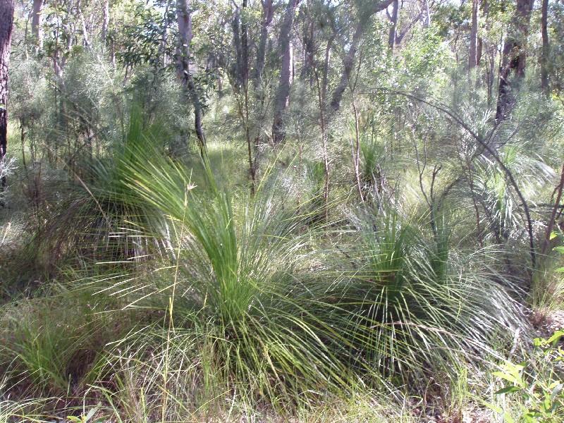 Captain Creek QLD 4677