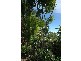 Seventeen Seventy QLD 4677