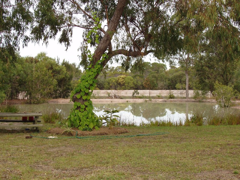 Agnes Water QLD 4677