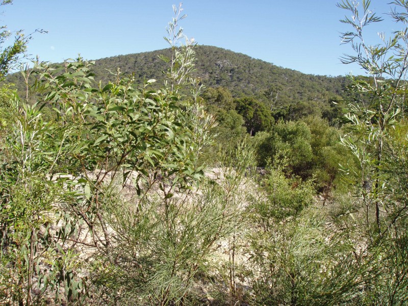 Agnes Water QLD 4677