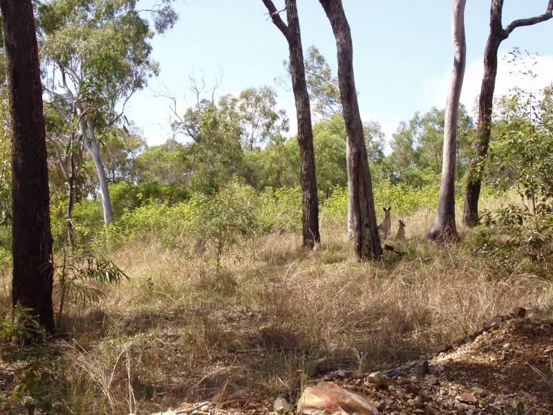 Agnes Water QLD 4677