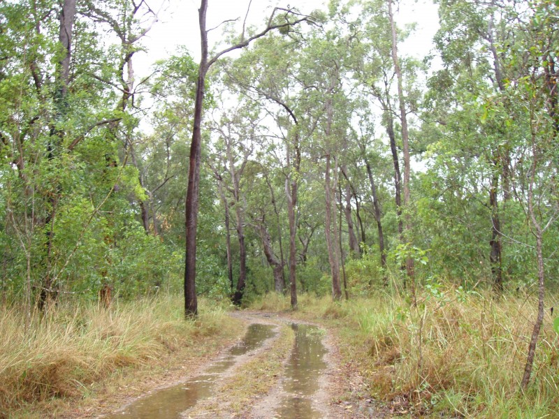 Captain Creek QLD 4677