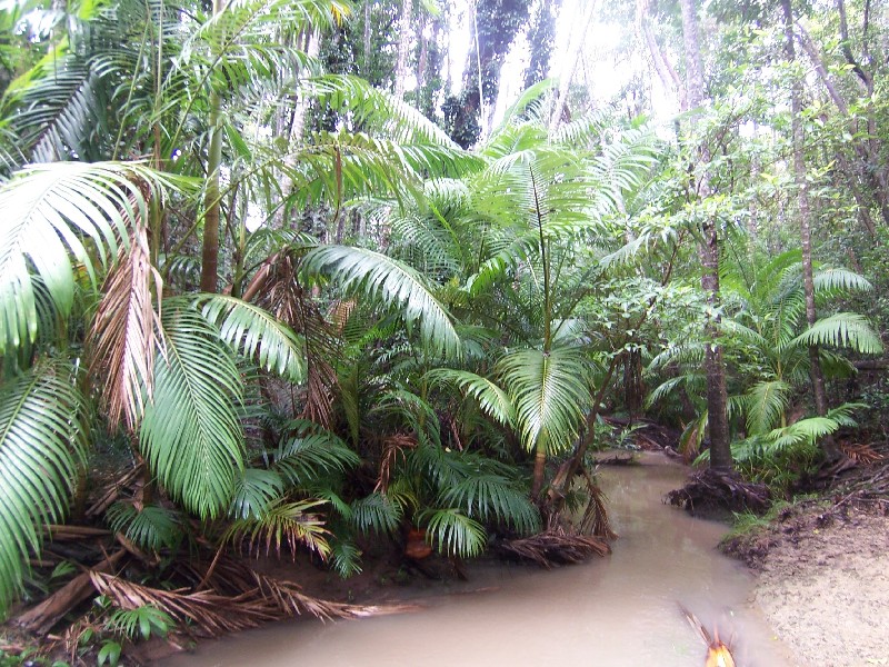 Lot 1 Round Hill Road, Captain Creek QLD 4677