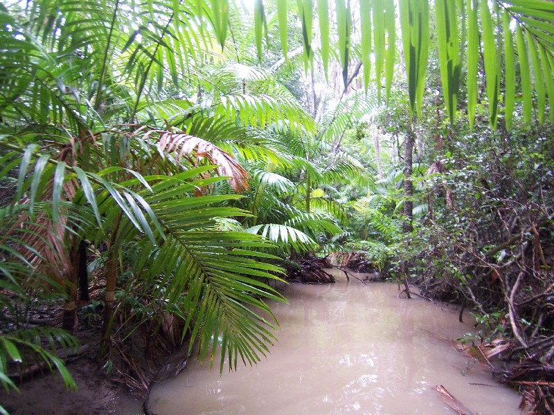 Lot 1 Round Hill Road, Captain Creek QLD 4677