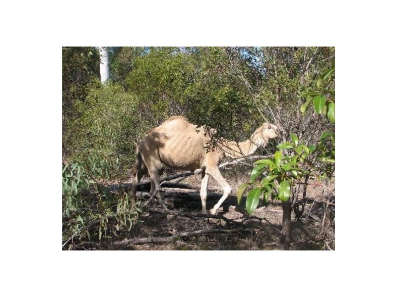 Agnes Water QLD 4677