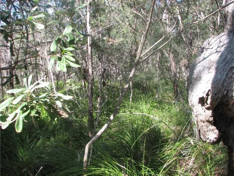 Agnes Water QLD 4677