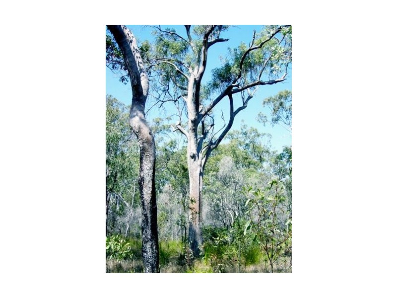 12 Round Hill Road, Agnes Water QLD 4677