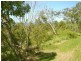 55  Seaspray Drive, Agnes Water QLD 4677