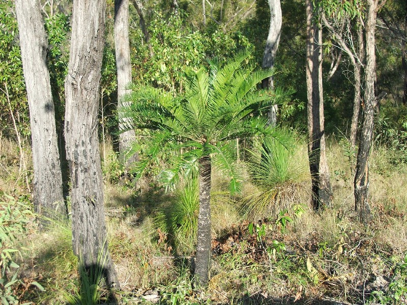 Agnes Water QLD 4677