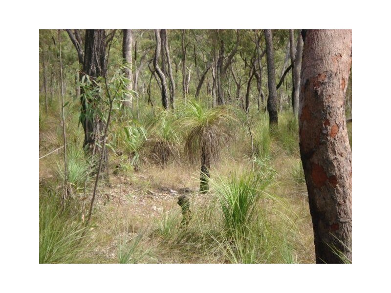 Agnes Water QLD 4677