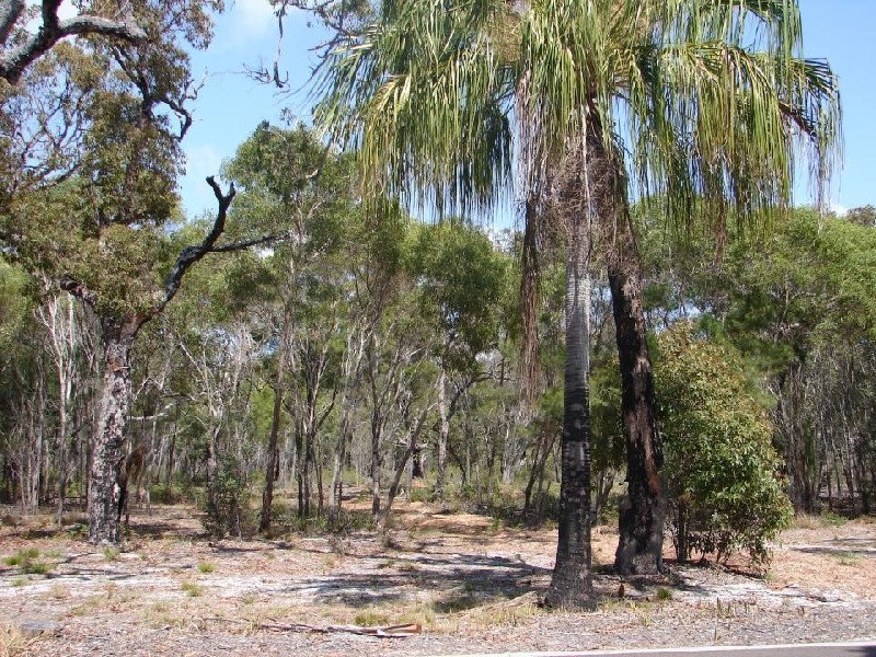 Agnes Water QLD 4677