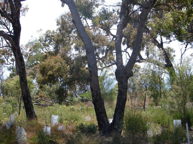 Agnes Water QLD 4677