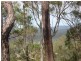 Captain Creek QLD 4677