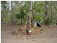 Captain Creek QLD 4677