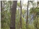 Captain Creek QLD 4677