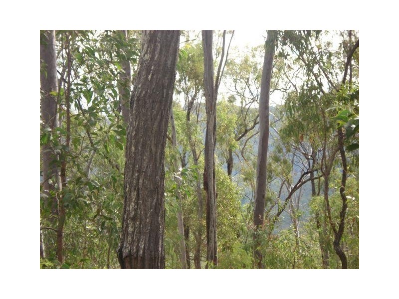 Captain Creek QLD 4677