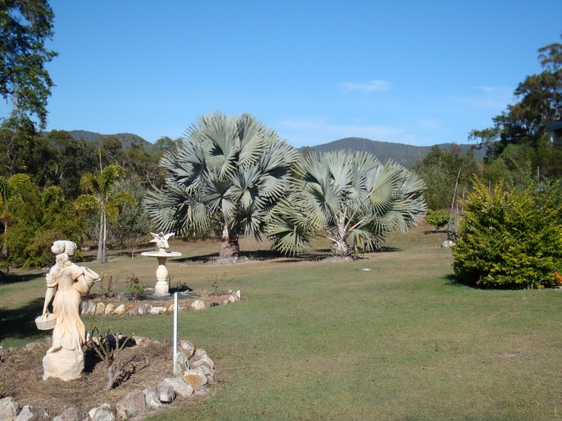 Agnes Water QLD 4677