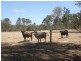 700 John Clifford Way, Agnes Water QLD 4677