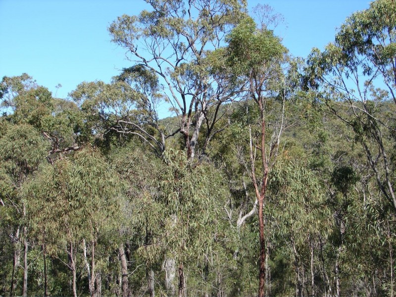 Agnes Water QLD 4677