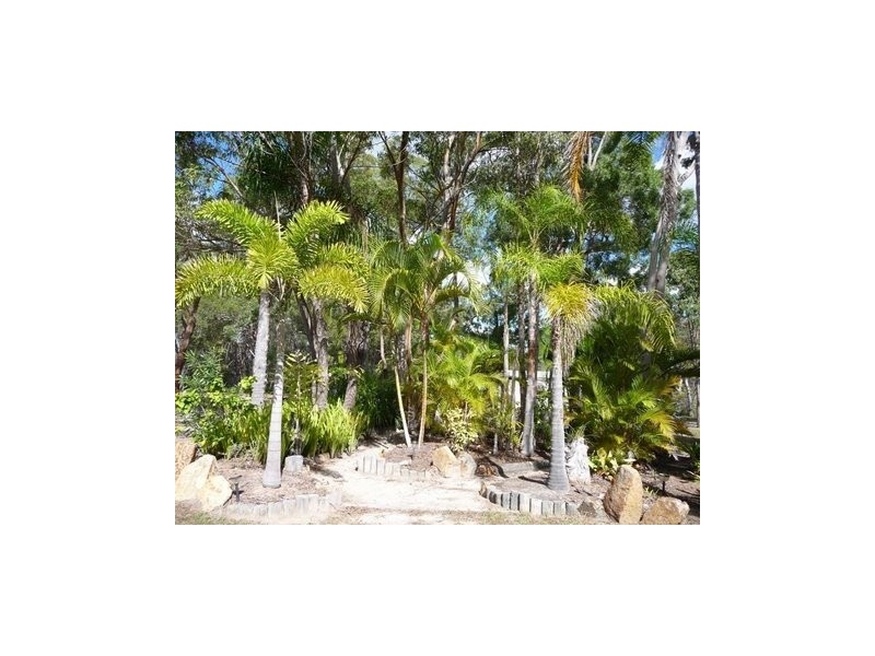 2452 Round Hill Road, Agnes Water QLD 4677