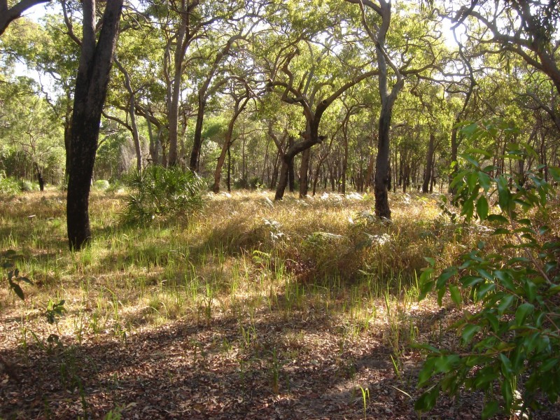 Agnes Water QLD 4677